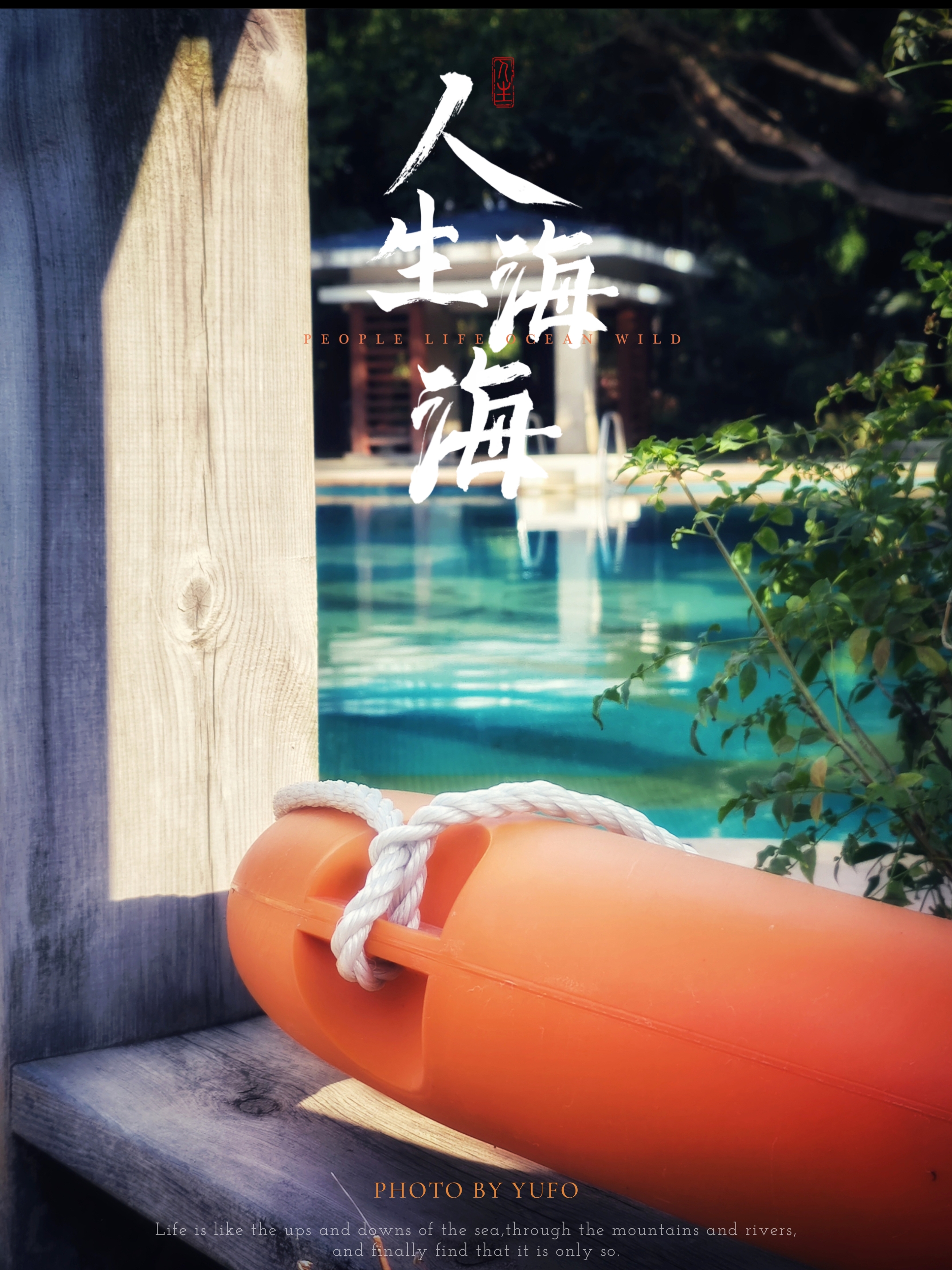 【2024-12-19】厦门之旅-手机摄影 图 8