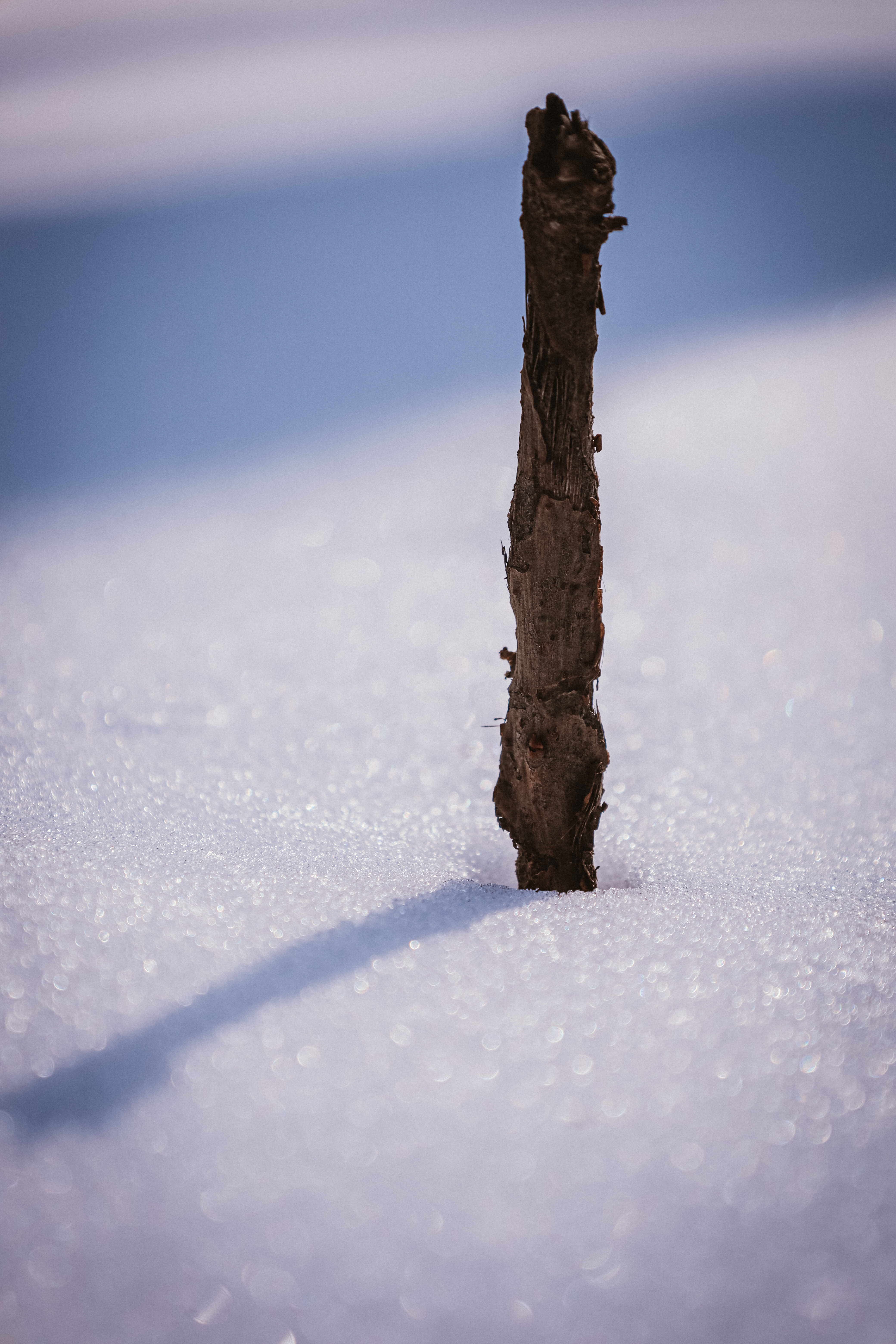 【2022-02-20】雪景练手 图 6