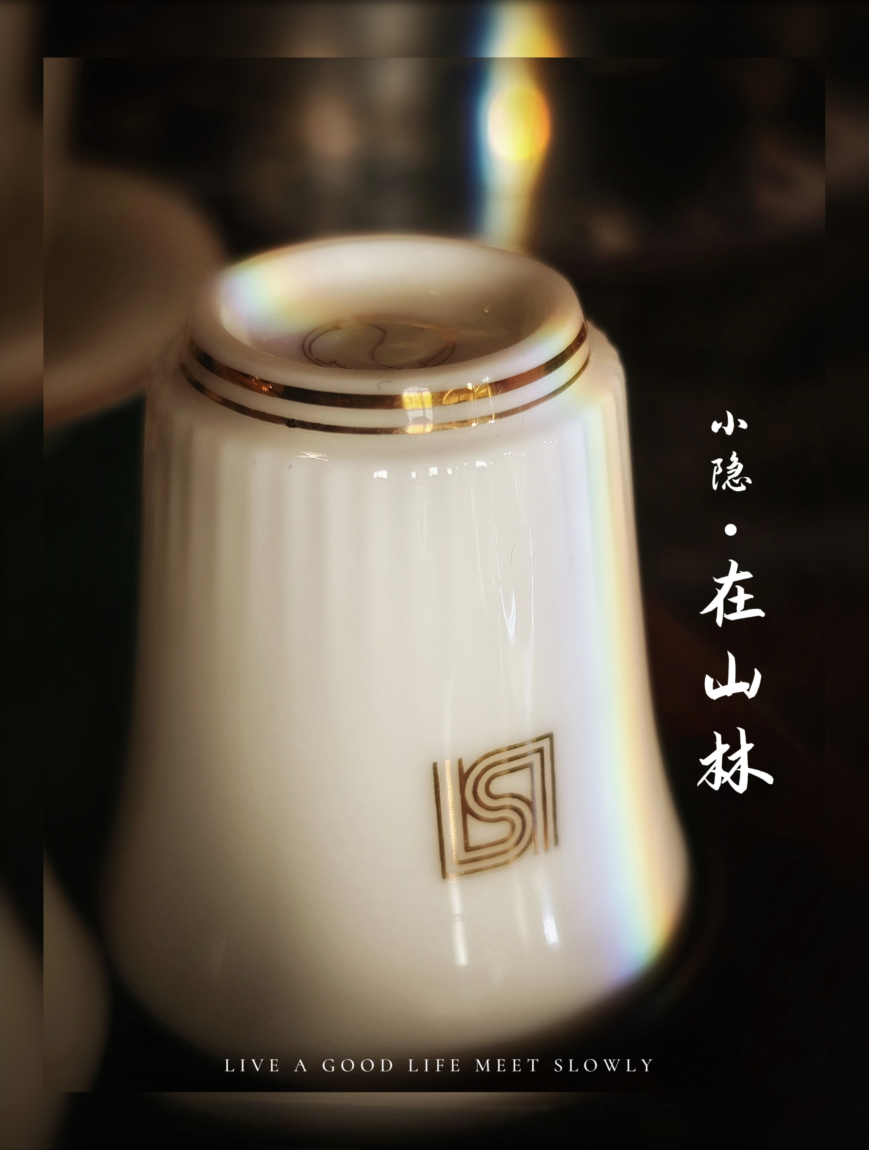【2024-12-19】厦门之旅-手机摄影 图 40