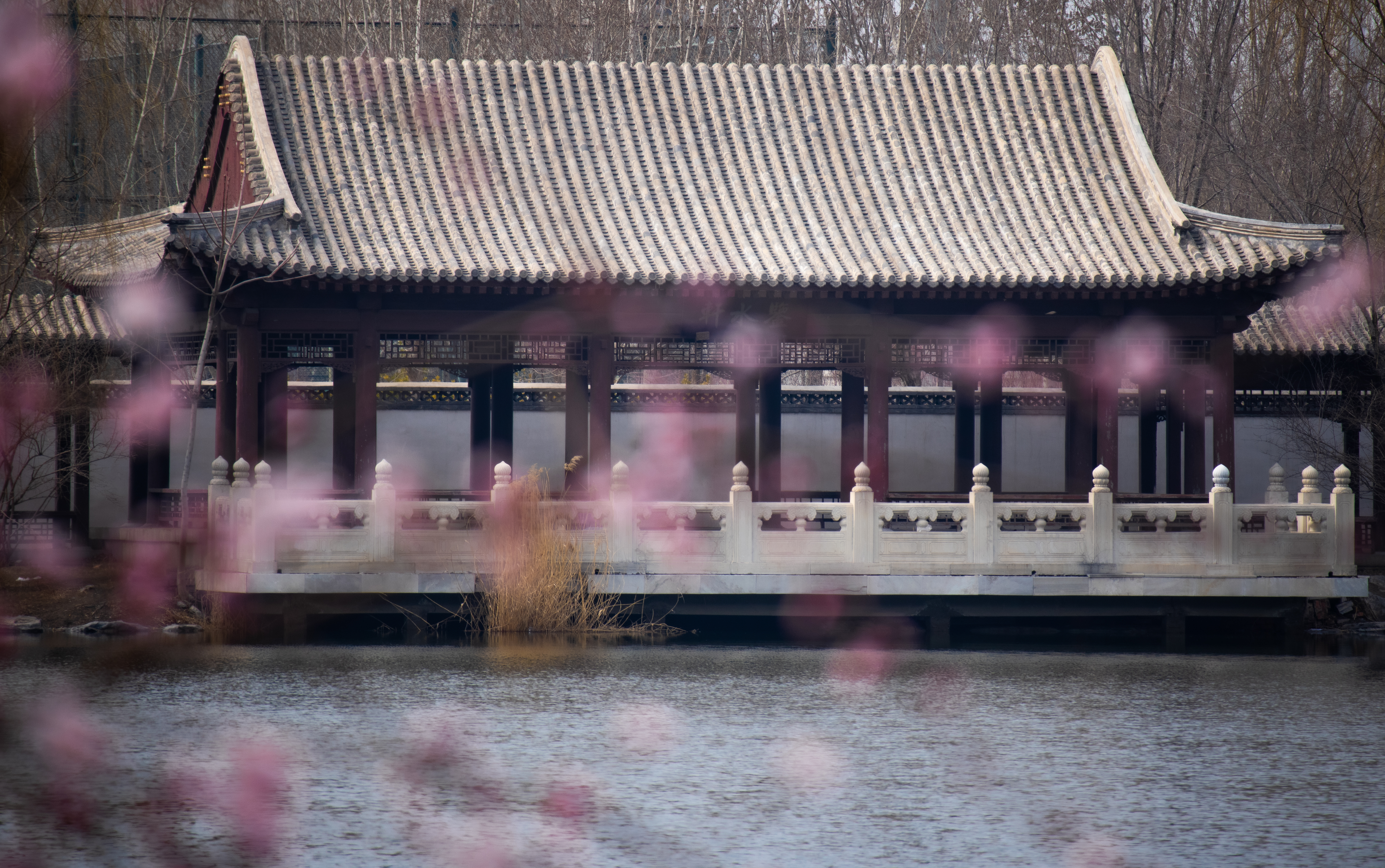 【2021-3-25】M200春景随拍Part1 图 7