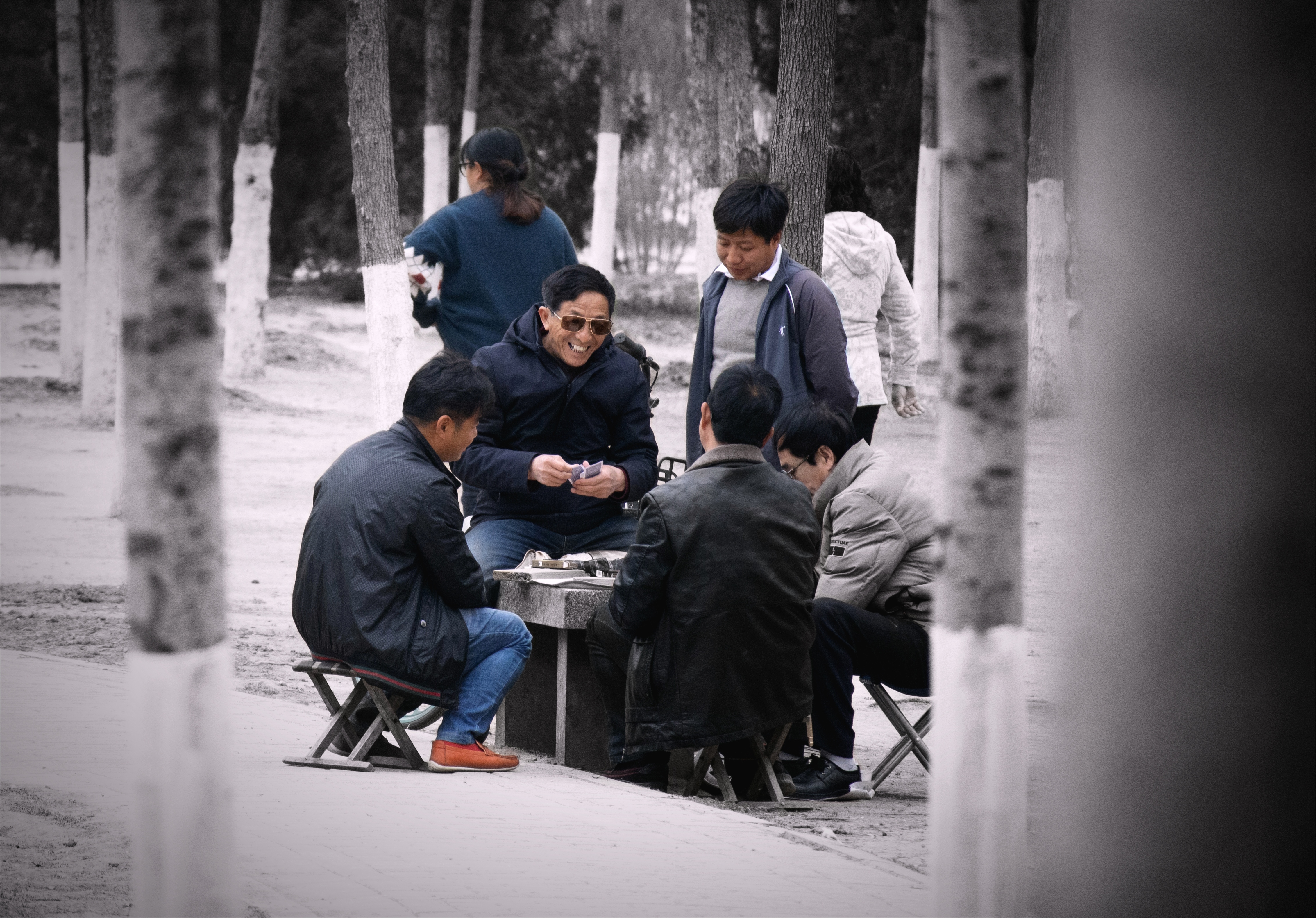 【2021-3-25】M200春景随拍Part2 图 15