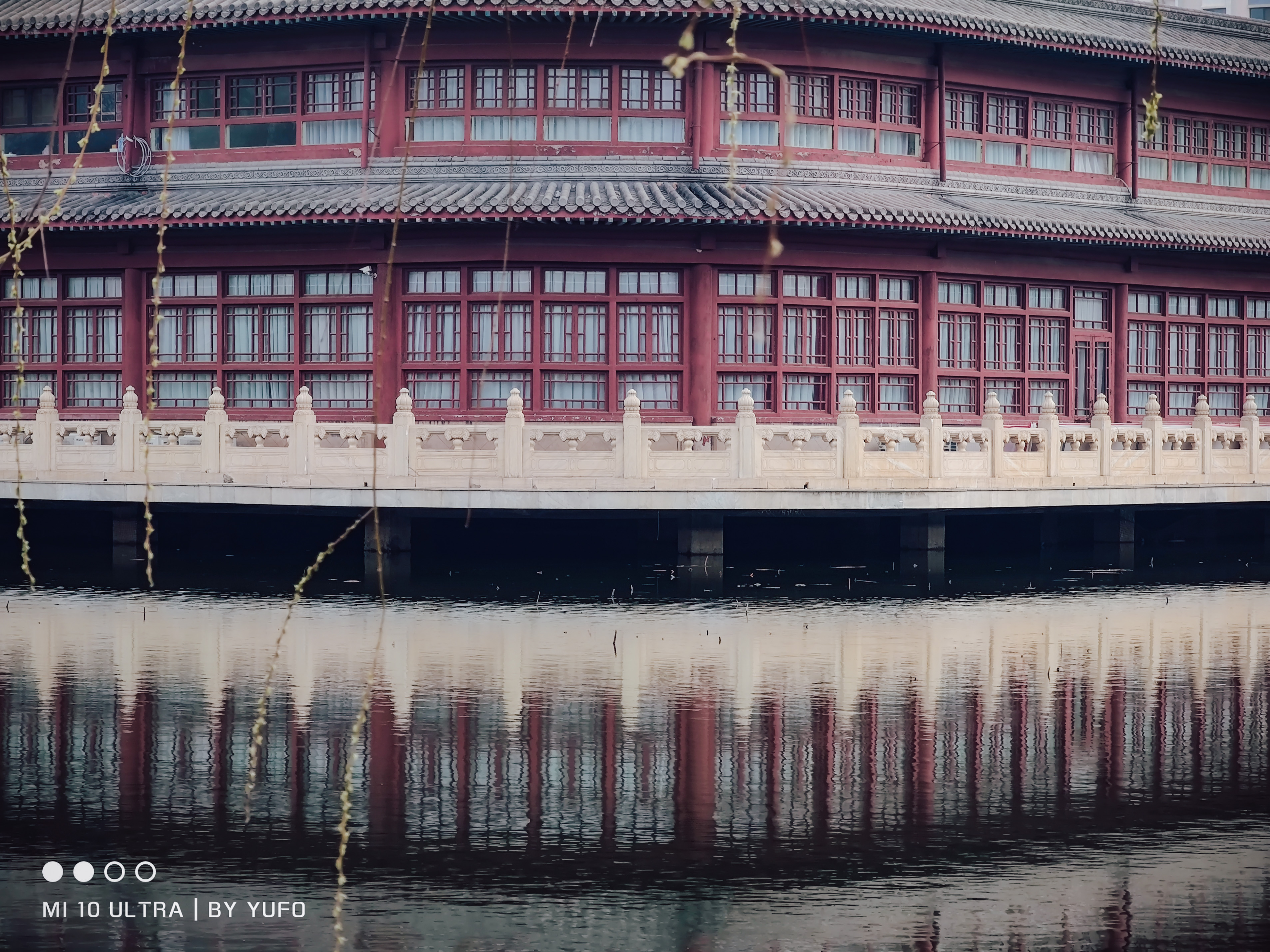 【2021-3-8】春景随拍Part2 图 6