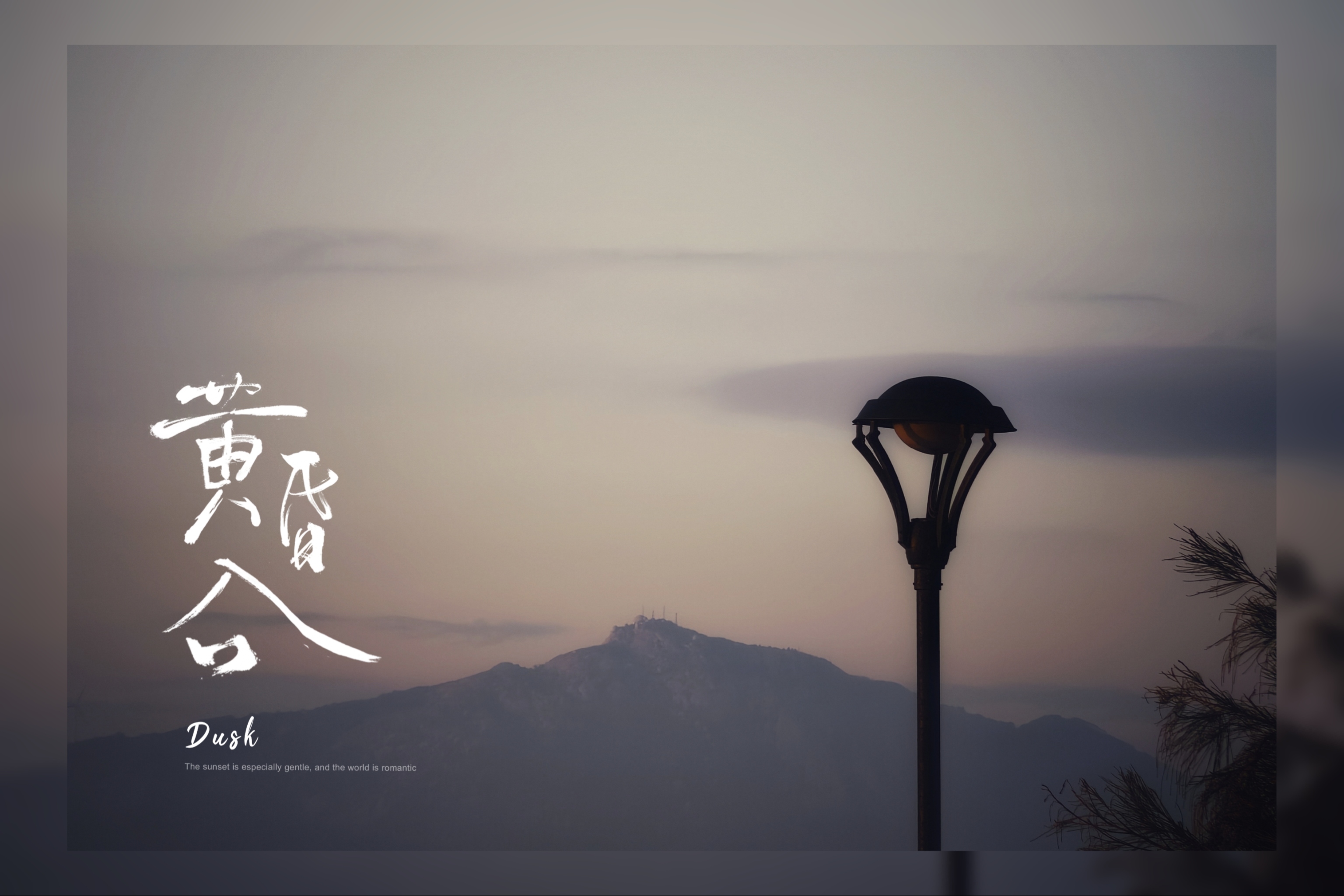 【2024-12-19】厦门之旅-手机摄影 图 39